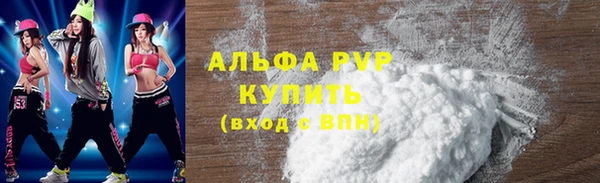 ешки Каменногорск