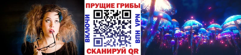 Псилоцибиновые грибы мицелий  Ясногорск 