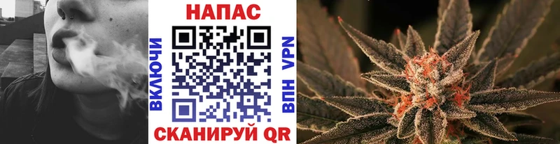 Бошки Шишки ГИДРОПОН  где можно купить наркотик  Ясногорск 